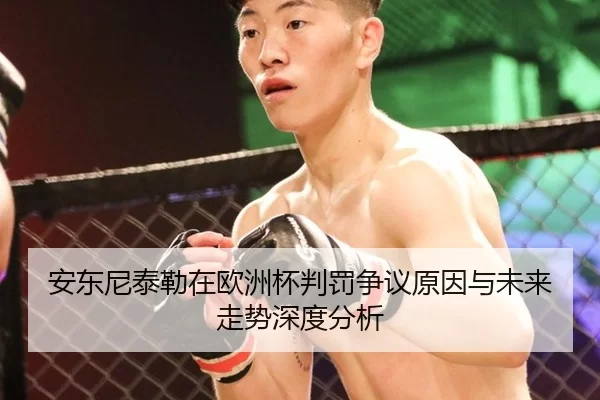 安东尼泰勒在欧洲杯判罚争议原因与未来走势深度分析